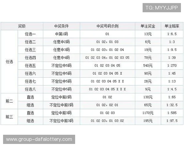 十一选五投注技巧全解析助你精准选号提升中奖概率